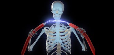 A skeleton holding high voltage cables with an electric discharge between them MCAapprovedHighVoltagetraining&#;OperationalLevel(HVO)